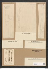 Hantzschia amphioxys (Ehrenb.) Grun. (de-Toni-Nr.: Genus 50, Species 2204) Zeichnungen Sammlung Grunow Nr. 4601 (NHMW-BOT-W0372625)